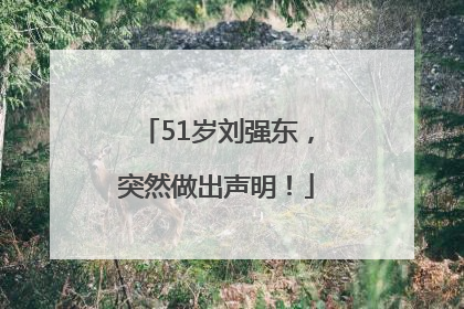 51岁刘强东，突然做出声明！